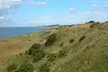 Voderup klint.