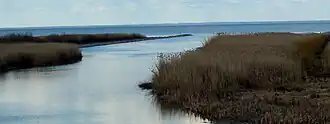 La rivière Emajõgi et le lac Võrts (Võrtsjärv).