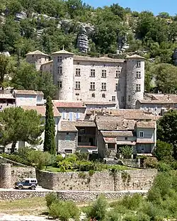 Château de Vogüé.