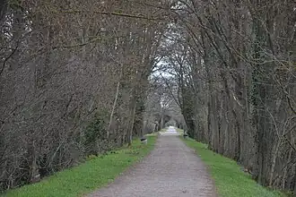 La ligne au sortir de Mirepoix, vers l'est.