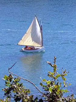 Cat-boat du Cap Cod en chêne et cyprès d'après un modèle de Wilton Crosby(1900), construction amateur de Louis Michel Le Doze.