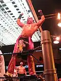 Volador, Jr