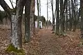 Aux alentours de Volary