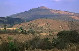 Vue du Flores.
