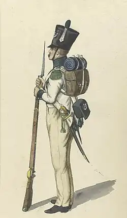 Image illustrative de l’article 5e régiment d'infanterie de ligne (royaume de Hollande)