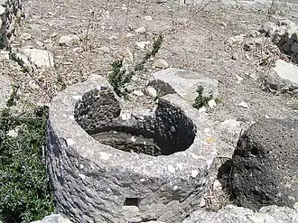 Anneau broyeur - Volubilis