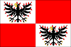 Drapeau de Volyně