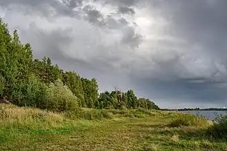 Forêt Vovdijenski.