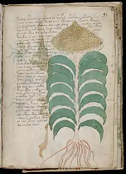 folio 93r.