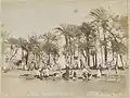 Femmes et enfants puisant de l'eau dans le Nil au Caire.