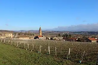 Loché