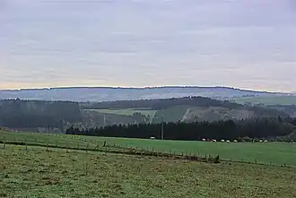 Vue de Cielle.