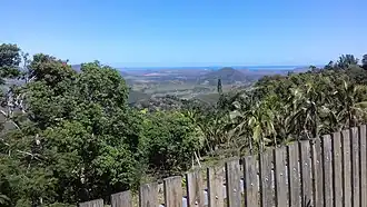 Farino