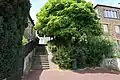 Photographie en couleur d'un escalier, d'un arbre et d'une maison.