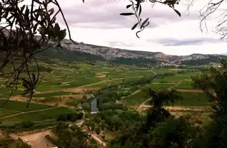 Vue de Tautavel depuis la Caune de l'Arago.