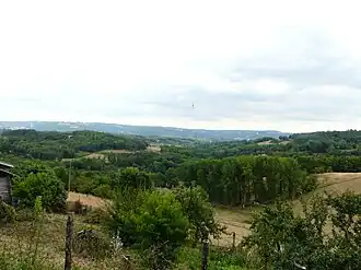 Mansac
