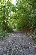 Sentier traversant le domaine du Moulin, en longeant la Leffe.