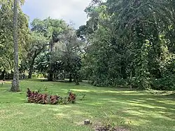 Vue du jardin
