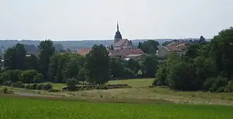 Domjevin