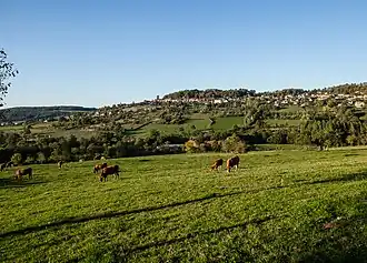 Alise-Sainte-Reine