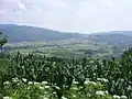 Plaine de Mali Jastrebac