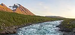 Une rivière traversant une forêt, avec une montagne au loin.