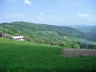 Vyškovec