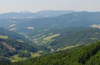 Vydrná
