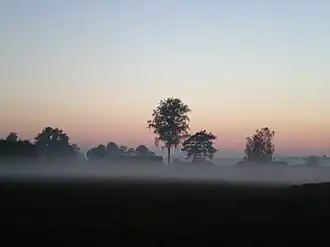 Wólka Łękawska