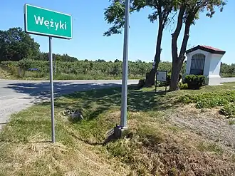 Wężyki