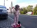 Wlapko à Olsztyn