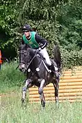 Cheval brun monté vu de face sautant un obstacle.