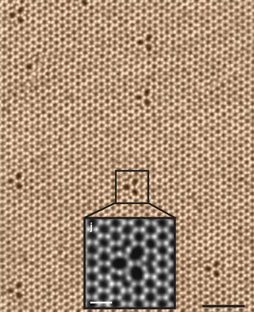 Vue au microscope électronique en transmission à balayage (STEM) d'une monocouche de diséléniure de tungstène à 500&nbsp;°C montrant sa structure hexagonale avec ses défauts trifoliés.