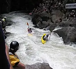 Roller Coaster sur la rivière Wairoa River de la Baie de l'Abondance.