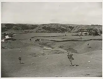 Waitotara