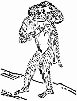 Description de cette image, également commentée ci-après