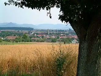 Walddorfhäslach