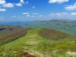 Carpates orientales extérieures en Pologne (Bieszczady-Poloniny).