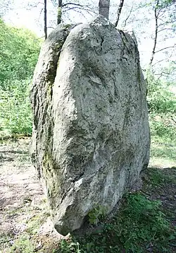 Le Hinkelstein.