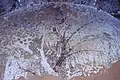 Murale représentant l'arbre de la vie et l'arbre de la mort, grottes de Sengim-aghiz