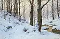 Bachlauf im Winterwald, sans date
