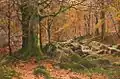 Herbst am Waldbach, sans date
