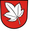 Blason de Ahorn