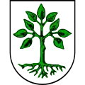Blason de Großarl
