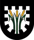 Blason de Pinswang