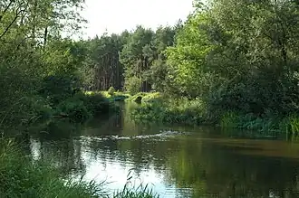 Lisowice (Pajęczno)
