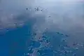 Une marée noire en mer.