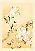Oiseau et Magnolia