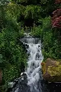 Édimbourg : Cascade