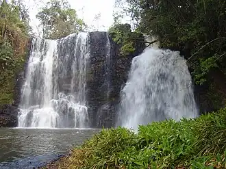 Torrinha